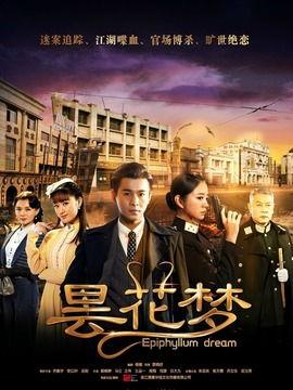昙花梦电视剧,繁华落尽，爱恨交织的传奇人生