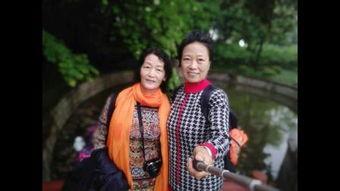 紫藤花园电视剧全集40