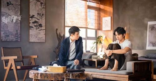 那一天电视剧在线观看完整版,穿越时空的浪漫邂逅