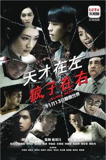 天才在左疯子在右电视剧